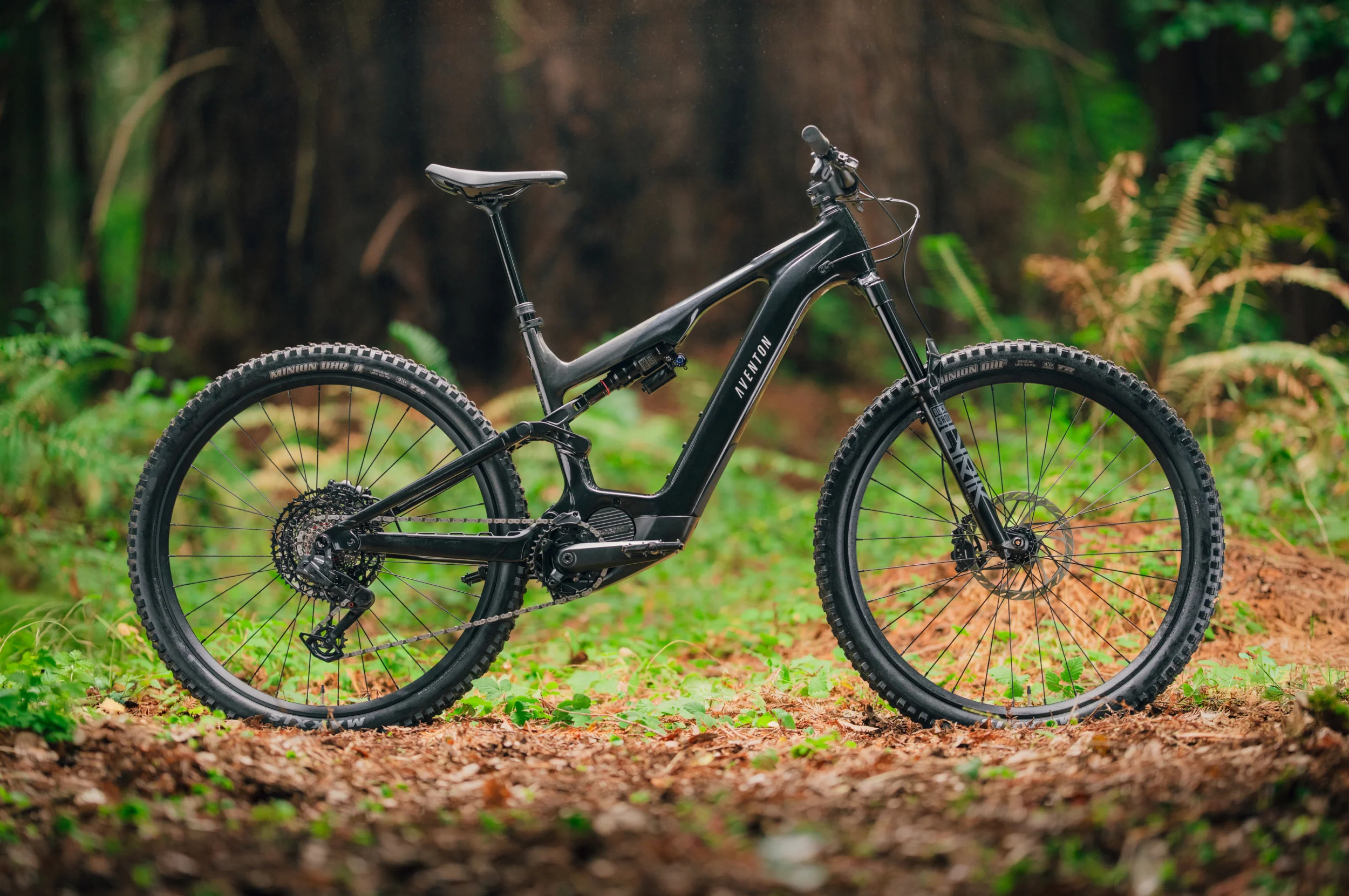 Current EXP Ebike - Image 7