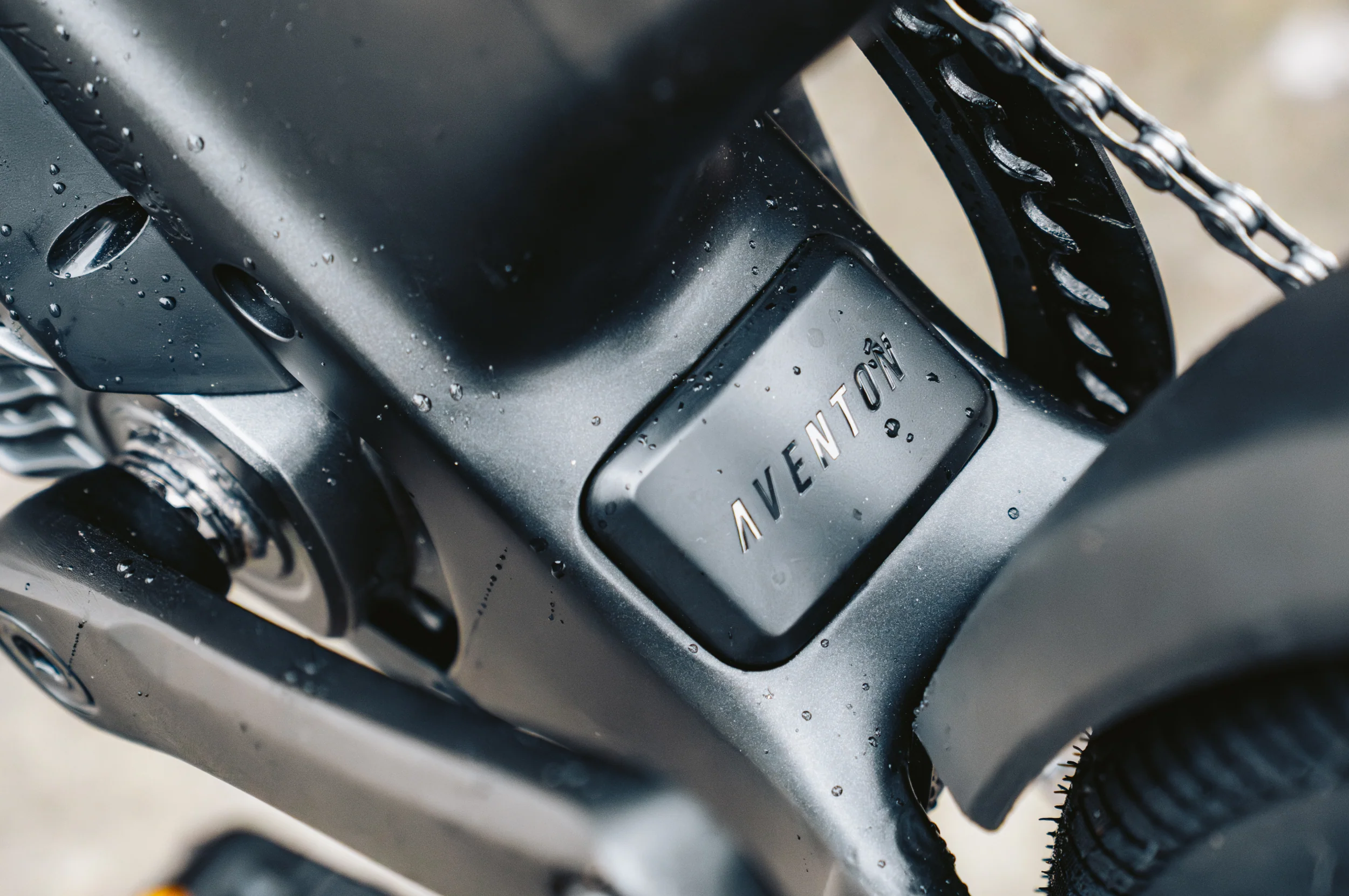 Level 4 ADV Step-Through Ebike - Image 9